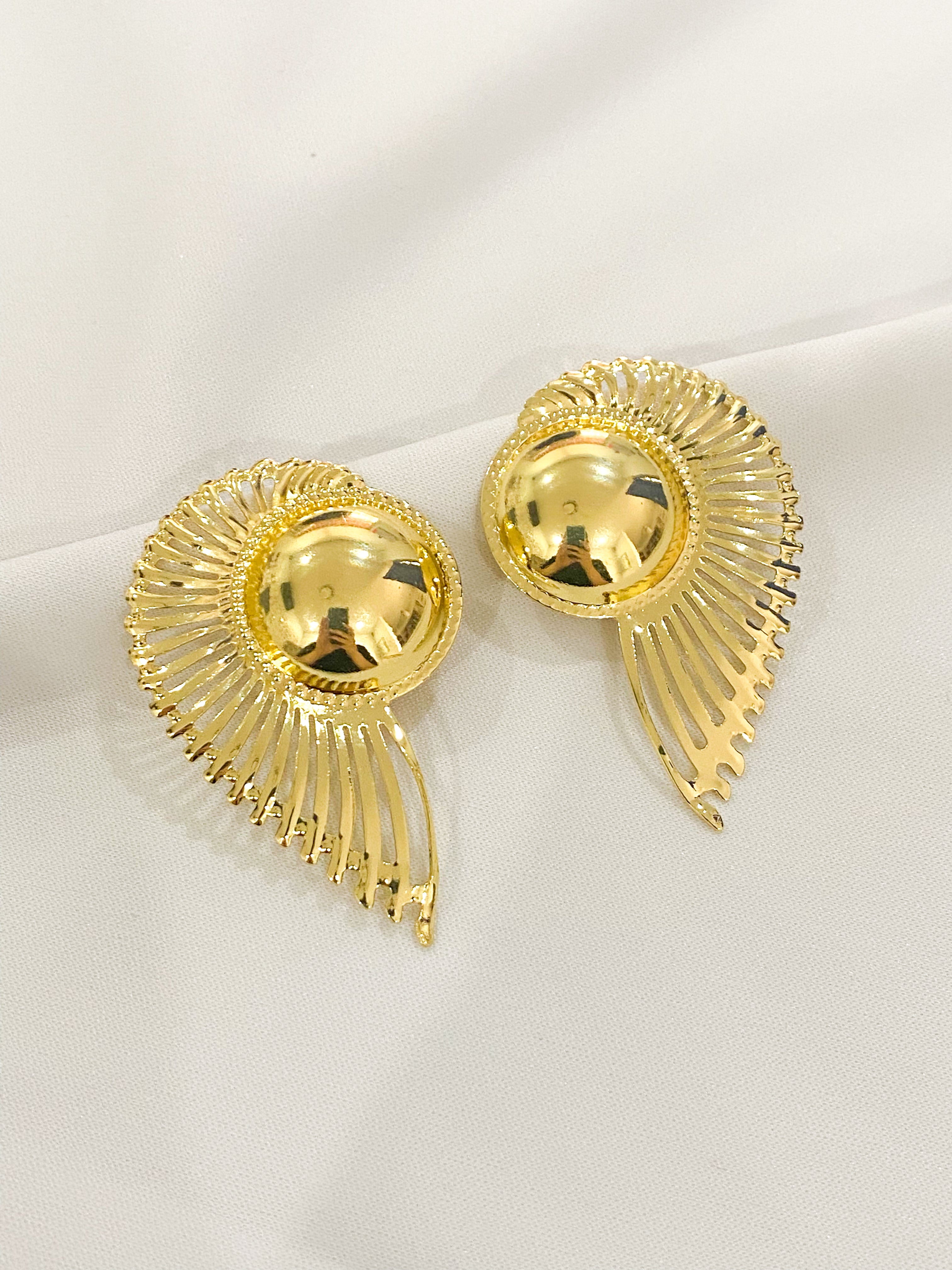 Aretes Fossil