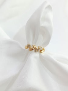 Anillo Nature
